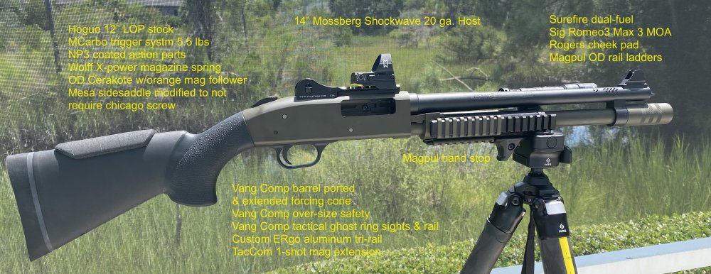 IMG_0499MOSSBERG 590 SHOCKWAVE ROMEO3 MAX RRS TRIPOD POOLSIDE 08.21.21 ANNOTATED copy.jpg