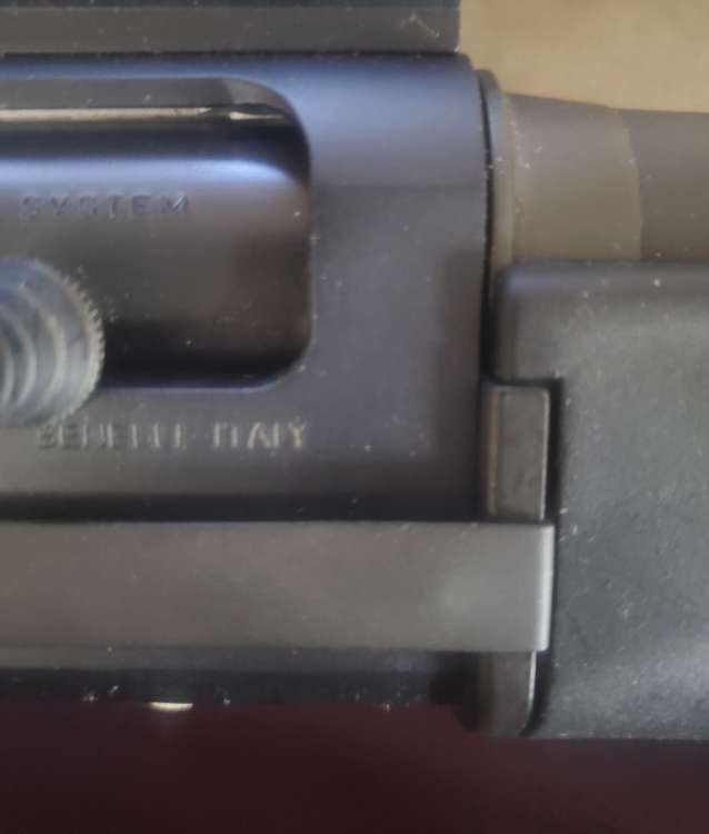 20250405_131013.jpg